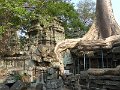 Angkor Ta Prohm P0164
